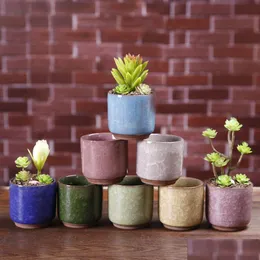 Ekiciler Tencere Buz Çatlak Mini Seramik Saksı Renk Masaüstü Dekorasyon İçin Sevimli Flowerpot Etli saksı bitkileri 8 Renk Damla Deliv Dhjyb