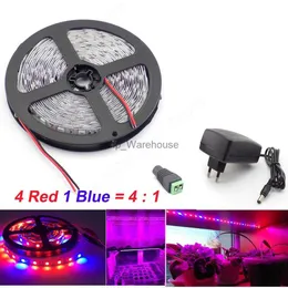 Wachsen Lichter 5M Wasserdicht Wachsen 5050 Led Streifen pflanze wachsen Licht 4 Rot 1 Blau innen Wachsende gewächshaus lampe 12V Netzteil V27 YQ230926