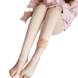 Mulheres meias 2023 senhoras leggings outono inverno tipo anti pilling mantendo náilon espessamento inferior elástico meia-calça para 40-60kg 220g 300g