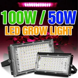 Grow Lights Phytolamp For Seedlings Grow Light Led Full Spectrum For Plants Hydroponics Growing Systems For Greenhouse 50W 100W 200W YQ230926