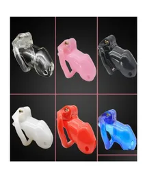 Bronzers Highlighters Epacket Standard Male Chastity Devices Belt Cage Kit2613 Drop Delivery Health Beauty Makeup Face Dhoq37271958