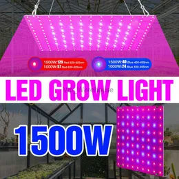 Grow Lights 220V Plant Lamp Quantum Board LED Phyto Grow Light Full Spectrum Greenhouse Lightinng 1000W 1500W Fitolampy LED Vegs Flower Tent YQ230926