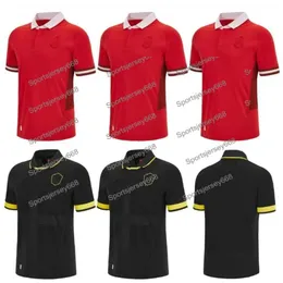 N1QC Erkek Tişörtleri 2023 2024 Yeni Galler Rugby Jersey Milli Takım Formaları Cymru Al-CILL VERSİYONU Dünya Kupa Polo T-Shirt 22 23 Top Galce