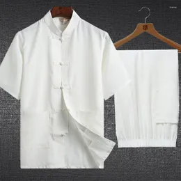 Abbigliamento etnico da uomo Tang Suit Camicia a maniche corte Tai Chi Cotone Lino Cinese Hanfu Esercizio di arti marziali Estate