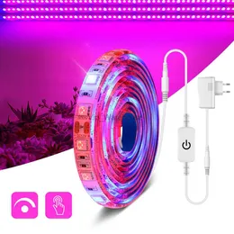Luzes de cultivo 5M LED Phyto Lamp Full Spectrum LED Strip Plant Light Dimmable Touch Switch LED Fitolampy Grow Lights para estufa hidropônica YQ230926