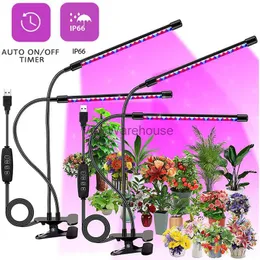 تنمو أضواء جديدة فيتو تنمو مصباح LED LED USB كامل الطيف 5V Fitolampy مع التحكم Phyto Light Plant Plantling Flower Indoor Grow Box Tent YQ230926