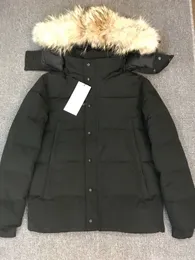Jaqueta de inverno masculina de designer canadense jaqueta de inverno com capuz grosso quente gansos casacos femininos