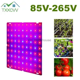 Grow Işıkları LED Bitki Büyümesi Light85-265V 1000W Fideler İçin Fitolapplar Kuantum Board 1500W Fito Lambalar Hydroponic Yetiştirme Çadır Kutusu Highquality YQ230926