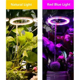 Свет для выращивания растений Свет для выращивания растений Лампа для выращивания растений Крытый круглый светильник для растений Светодиодные лампы для растений для зеленого укропа Розы Кактус Мини-бонсай Подсолнух YQ230926