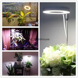 Wachstumslichter, Angel Ring Plant Grow Light, Vollspektrum-LED, breiter Beleuchtungsbereich, Phytolamp-Wachstumslampen mit Timer für Zimmerpflanzen, Kräuter, YQ230927, YQ230927