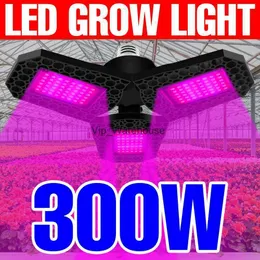 조명 전체 스펙트럼 식물 성장 조명 LED 변형 가능한 식물 램프 100W 200W 300W Phyto 램프 온실 공장 성장 조명 UV 스포트라이트 YQ230926 YQ230926