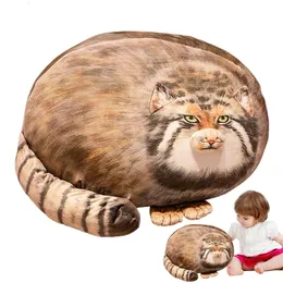 Cuscini peluche Cuscini Pallas Gatto Peluche Cuscino Cuscino Giocattoli per bambini Morbido Peluche Steppa Gatto Peluche Bambini Compleanno Regalo di Natale Decorazioni per la casa 230926