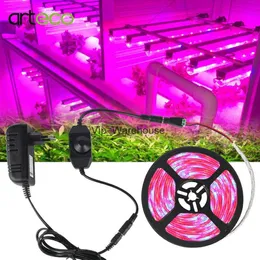 Grow Lights 5M LED Phyto Lamps Full Spectrum LED Grow Light 300 LEDs 5050 Strip LED Fitolampy Grow Lights For Greenhouse Hydroponic plant YQ230926 YQ230926