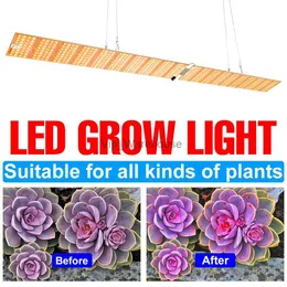 Rosną światła hydroponiczne lampa lampy lampy led 220V lampa roślinna pełne spektrum Fitolamp US UK UK wtyczka LED Phytolamps Greenhouse pudełko YQ230927