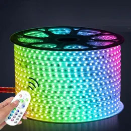 110V 220V LED Strip 5050 50m 100m IP67 Waterproof RGB Dual Color Rope lighting for outdoor with RF Remote controller by DHL332Q