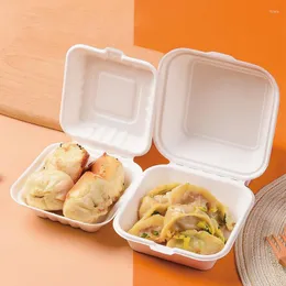 Take Out Containers Box Disposable Food 10pcs Puff Burger Cake Tray Biodegradable Bento Storage Kitchenware Lunch Microwaveable