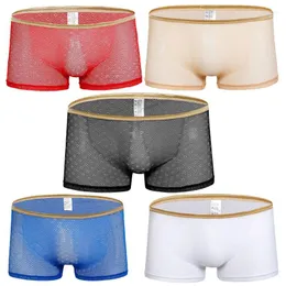 Underpants 5PCS Sexy Men's Boxer Underwear Cool Breathable Mesh Transparent Male Shorts Mens Cueca See Through Boxers
