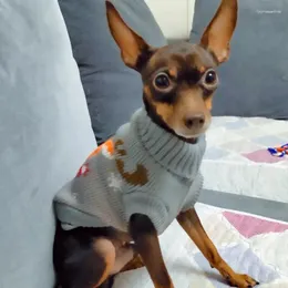 Hundkläder varm chihuahua puppuy tröja vinter husdjurskläder för små hundar Yorkshire Dachshund Cat Pullover Mascotas kläder kostym