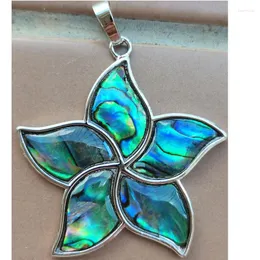 Colares com pingente lindas joias Zelândia Abalone Shell Star Bead PD3916