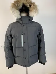 Мужская пуховая куртка, канадская парка, зимнее пальто, водонепроницаемая ткань, мужская куртка Wyndham с волчьим мехом, верхняя одежда с капюшоном, меха енота, теплые пальто Doudoune