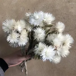 Decorative Flowers Beautiful Dried Rock Flower For Bridal Bouquet White Snow Lotus Wedding Farmhouse Decor Home Party Decoration