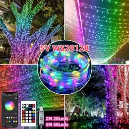Strings 2M/5Meters Dream Color LED String Lights USB Remote Smart Music WS2812 RGBIC Fairy Light Waterproof IP67 For Party Christmas