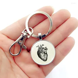 Nyckelringar WG 1PC Hjärtanatomi Pendant Keychain Time Gemstone Keyring For Women Bag Jewelry Trinka Men's Car Key Ring Chain