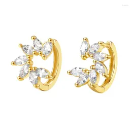 Orecchini a cerchio all'ingrosso Argento Colore oro Moda Donna Ragazza Compleanno Regalo di nozze Occhio di cavallo Accessori per gioielli in zircone bianco