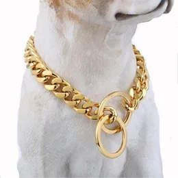 10 12 15 17mm 316L Rostfritt stål Silverfärg Guld Färg Kubansk kedje Pet Dog Collar Choker Halsband 12-32 Chokers232m