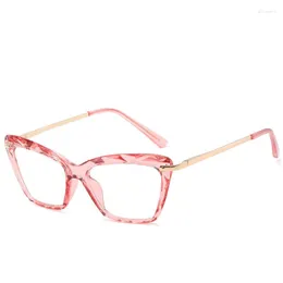 نظارة شمسية إطارات أزياء Cat Eye Women Eyeglasses شفافة الرجعية البصرية إطار النظارات البلاستيكية 5025