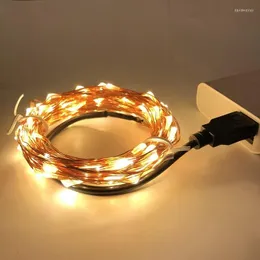 ストリングスUSB LED STRING LIGHTS 3/5/10M IP65防水妖精銅線ガーランド屋外の結婚式パーティーの装飾