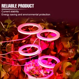 LED USB النمو LED الكامل طيف مصباح مصباح المصباح فيتو الضوء 5V Fitolampy الزراعة المائية للنبات