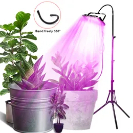 Vattentät Grow Light LED -växtens tillväxtlampa Full Spectrum Phytolamp med stativ inomhus Phyto Lamp växthusgrönt blommatält