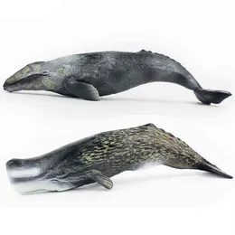 Tomy Simulación de 30 cm Criatura marina Modelo de ballena esperma ballena gris ballena pvc modelo juguetes x1106254b