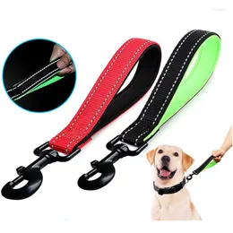 Collari per cani Guinzagli riflettenti per cani corti Guinzagli in nylon per corda da passeggio Materiale da immersione Cintura di sicurezza per auto Catena per animali domestici