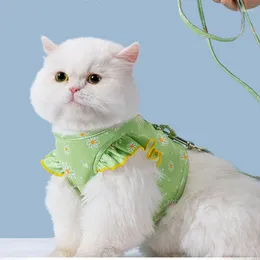 Collari per cani Gilet per imbracatura per gatti di lusso Accessori per animali domestici regolabili Cinghia pettorale per gatti Collare in corda traspirante