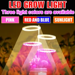 5V Ring Grow Light LED Phytolamps Vollspektrum-Pflanzenlampe Vegs Wachstumsbirne Hydrokulturbeleuchtung Samen Blumenpflanzung Growbox