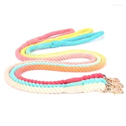 Dog Collars Leash Durable Slip Rope Adjustable Loop Collar Comfortable Supports The Strongest Pulling Large Medium Dogs