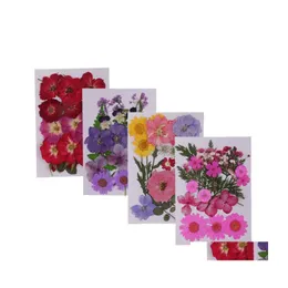 Dekorativa blommor kransar 4 upps￤ttningar mtiple mix naturlig pressade torkade blad diy konst hantverk blandade storlekar1 droppleverans hem tr￤dg￥rd dhbxc