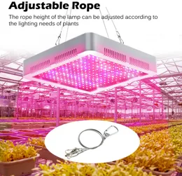 2000W 1000W Tam Spektrum LED Grow Işık Lambaları AC85-265V KURULU BİTLER İÇİN ÇOCUK ÇALIŞI Çiçek Serası Çadır Kutusu Büyür