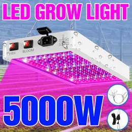 Lampada di disinfezione ultravioletta Lampada per piante a LED 220V Grow Light Phytolamp Illuminazione per interni Lampara Pannello 110V Spettro completo Serra Semi di fiori Lampadina per tenda 230104