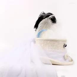 Berets Top 13,5 cm 4 Größe Wolle Frauen Braut Handarbeit Fedora Hut Dame Mesh Traditionelle Biber Feder Party Hochzeit