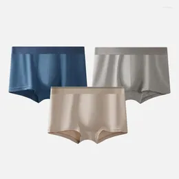 Underpants 3 Pack Mens Boxers Shorts Underwear 기본 견고한 낮은 허리 면화 스포츠 트렁크 M L XL XXL 3XL 2425D
