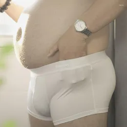 Underpants 남성 U 자형 브리핑 섹시 란제리 통통한 플러스 크기 패션 시청 속옷 단색