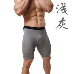 Underpants Mens Spring Shorts Homme Wear Shaper Body Building Pants Men Cotton Panties U Convex Pouch Knee Length Trousers A9011