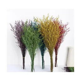 Dekorative Blumen Kr￤nze 30 g Liebhaber Gras Nat￼rlicher frisch getrockneter Tanztanz echter Blumenzweig f￼r Wohnkultur Bouquet Drop de Dhdkx