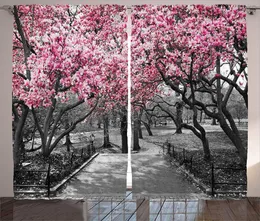 Curtain NYC Decor Collection Blossoms In Central Park Cherry Bloom Trees Forest Spring Springtime Landscape Living Room Bedroom