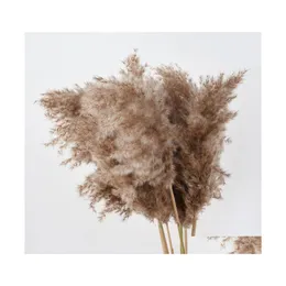 Dekoratif Çiçek Çelenk Merkez Parça Dekor Doğal Kurutulmuş Reed Bitkiler Düğün Çiçek Demet Pampas Tableau Çim Dekorasyonu PHRAG DHB3K