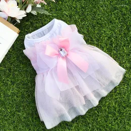 Abbigliamento per cani Abito da sposa per gatti Vestiti estivi per animali domestici Gonna Abiti da principessa Yorkshire Pomerania Shih Tzu Abbigliamento Schnauzer maltese