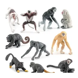 Science Discovery Education Primates Animal Action Figures Simation Realistic Livelike Learning Bath Toys For Kids Birthday Part Dhusk